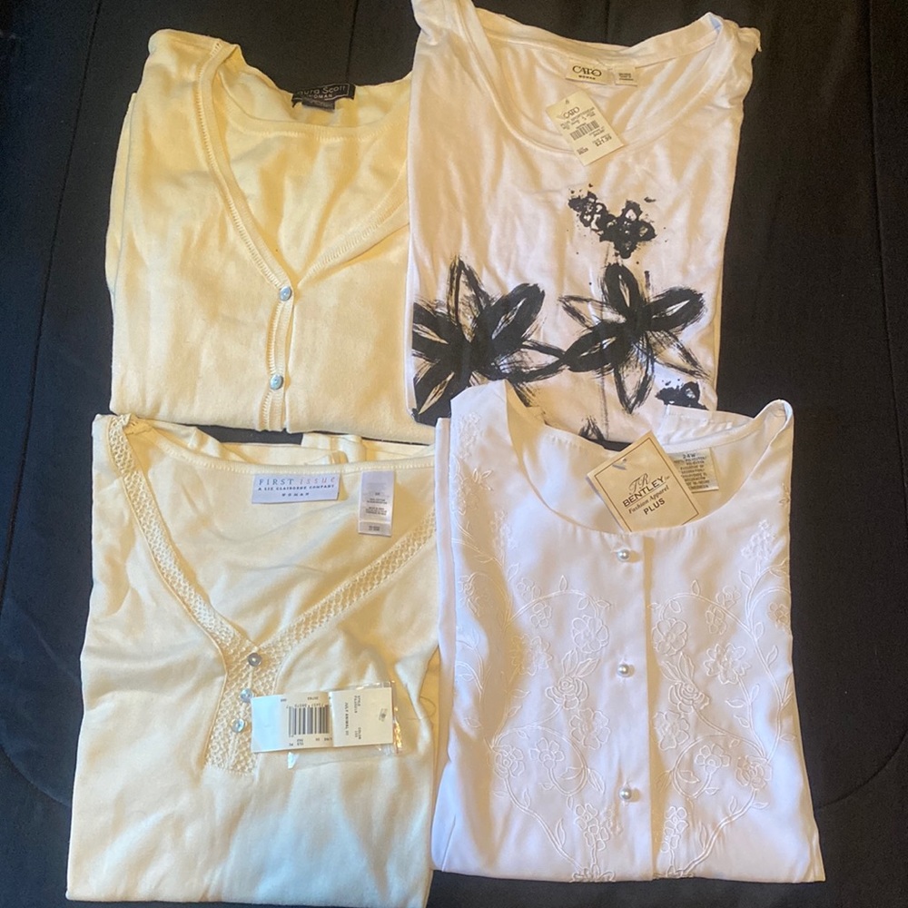 Plus size clothing lot